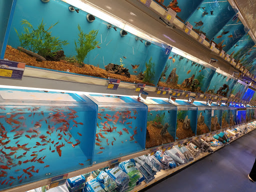 Pet Supply Store «PetSmart», reviews and photos, 3351 Jefferson Davis Hwy, Alexandria, VA 22305, USA