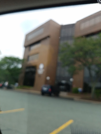 Bank «Eastern Bank», reviews and photos