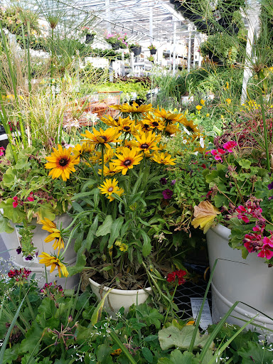 Home Improvement Store «The Home Depot», reviews and photos, 11360 Rojas Dr, El Paso, TX 79936, USA