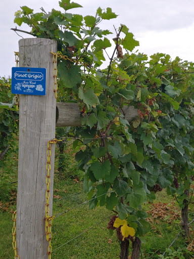 Winery «Jessie Creek Winery», reviews and photos, 1 N Delsea Dr, Cape May Court House, NJ 08210, USA