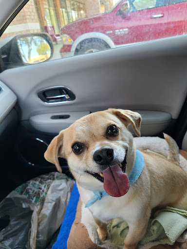 Pet Supply Store «Odyssey Pets», reviews and photos, 14999 Preston Rd #400a, Dallas, TX 75254, USA