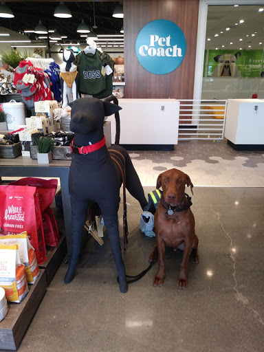 Petco image