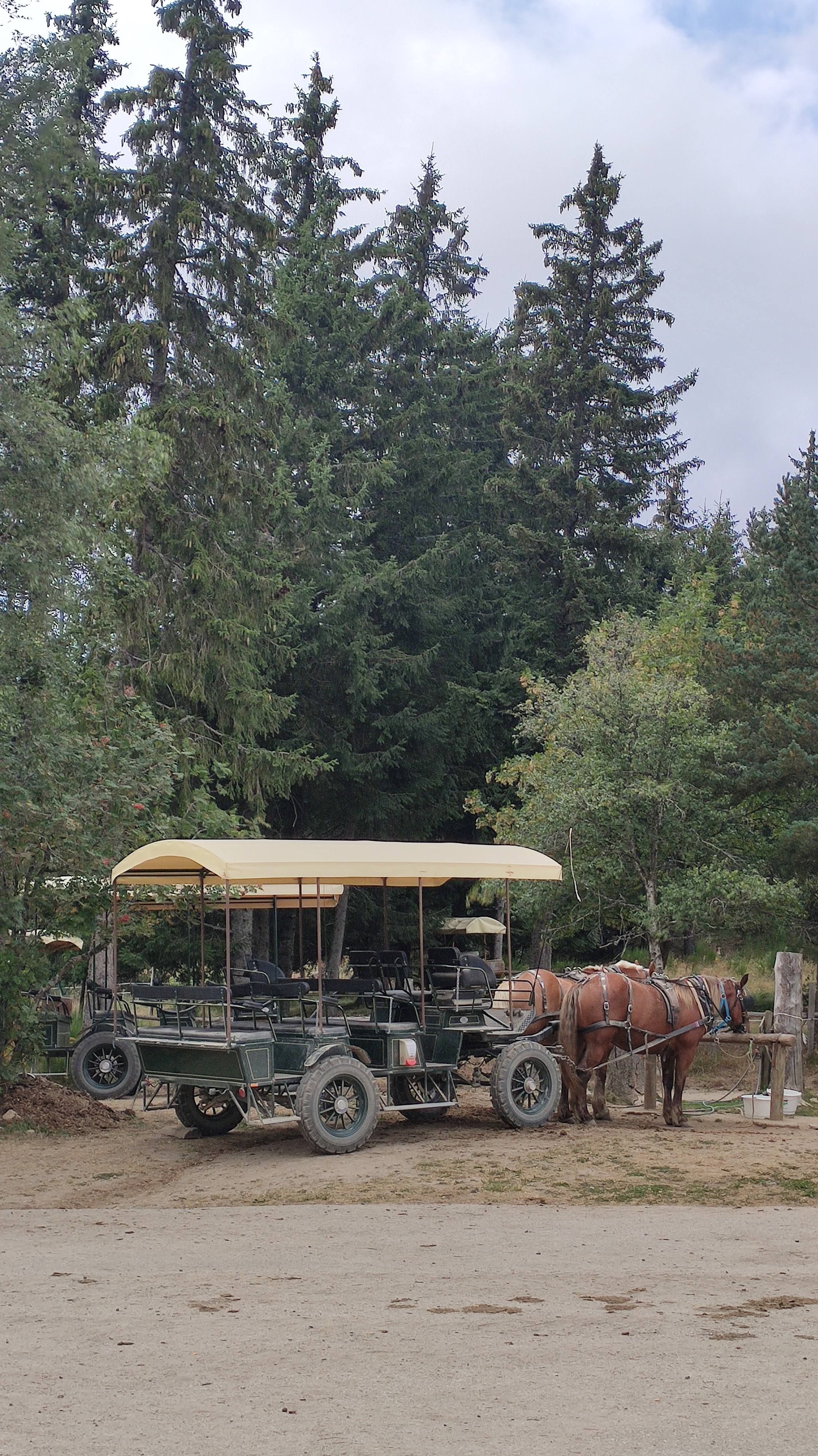 Photo n° 1 de l'avis de AM.2 fait le 29/10/2018 à 08:19