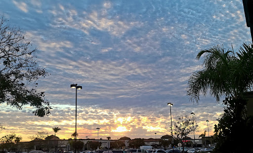 Grocery Store «Albertsons», reviews and photos, 6755 Westminster Ave, Westminster, CA 92683, USA