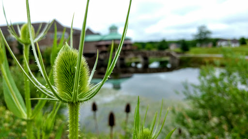 Country Club «Signature of Solon», reviews and photos, 39000 Signature Dr, Solon, OH 44139, USA