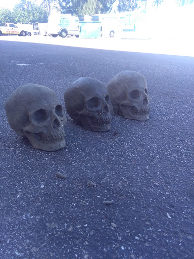 Find tattoo ideas mandala for your next unique tattoo in Bradenton at Memory Lane Tattoo Co.