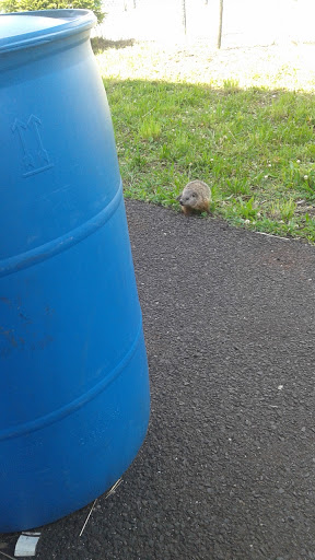 Auto Repair Shop «Deepa Auto Repair», reviews and photos, 1649 Stelton Rd, Piscataway Township, NJ 08854, USA