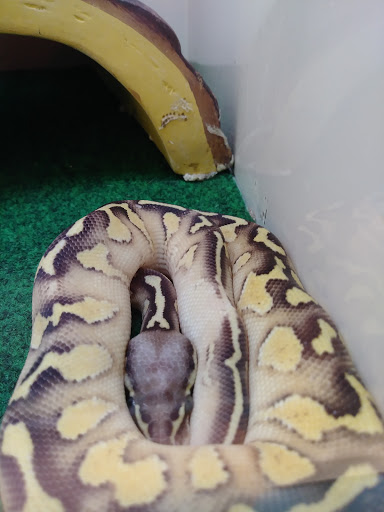 Pet Supply Store «Pet Supplies Plus», reviews and photos, 209 Towne Dr, Elizabethtown, KY 42701, USA