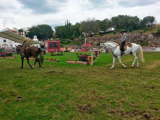 Criador de caballos Santiago de Querétaro