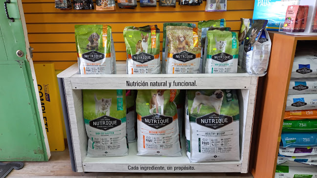 World Pet Maule - Talca