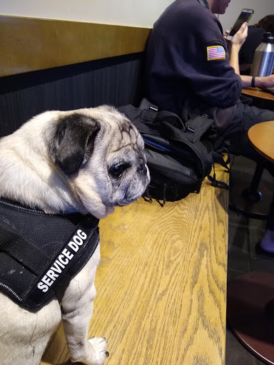 Shopping Mall «Pismo Coast Shopping Plaza», reviews and photos, 555 5 Cities Dr, Pismo Beach, CA 93449, USA