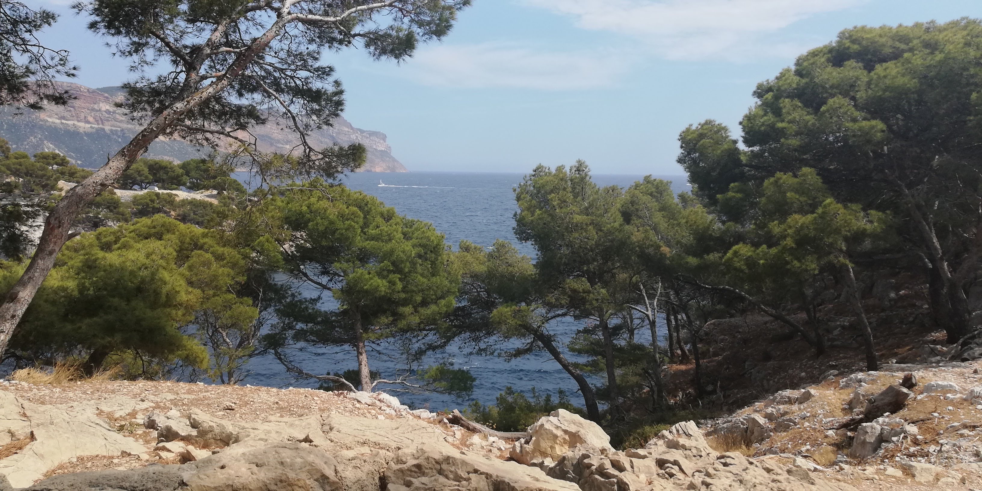 Photo n° 5 de l'avis de Mika. fait le 28/07/2019 à 01:26