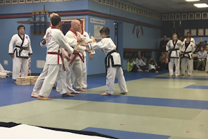 Pereira's Academy of Karate image