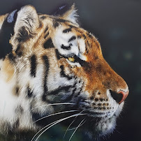 Elyse Galloway - Wildlife Fine Art & Pet Portraiture - Photo 6 - Car repair in Aurora, CO, Denver