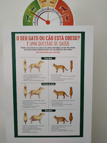 Comentários e avaliações sobre o Clínica Veterinária Das Taipas Lda