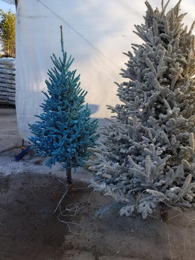 Garden Center «Royal Victorian Garden Center», reviews and photos, 10911 State Rd, Cleveland, OH 44133, USA