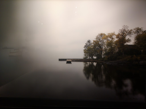 Art Gallery «National Geographic | Fine Art Galleries», reviews and photos, 607 E Las Olas Blvd, Fort Lauderdale, FL 33301, USA