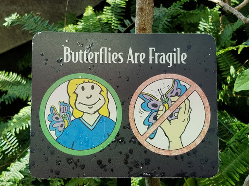 Aquarium «Tennessee Aquarium», reviews and photos, 1 Broad St, Chattanooga, TN 37402, USA