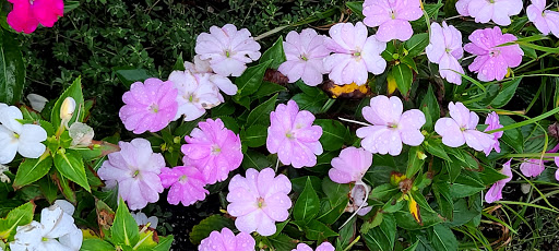 Tourist Attraction «Atlantic City Boardwalk», reviews and photos, 3109 Boardwalk, Atlantic City, NJ 08401, USA