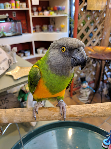 Pet Supply Store «Eden Garden and Pets», reviews and photos, 1439 S 70th St, West Allis, WI 53214, USA