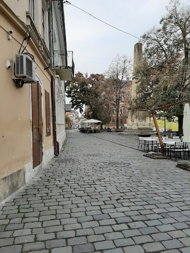 Strada Constantin Daicoviciu, Cluj-Napoca, România