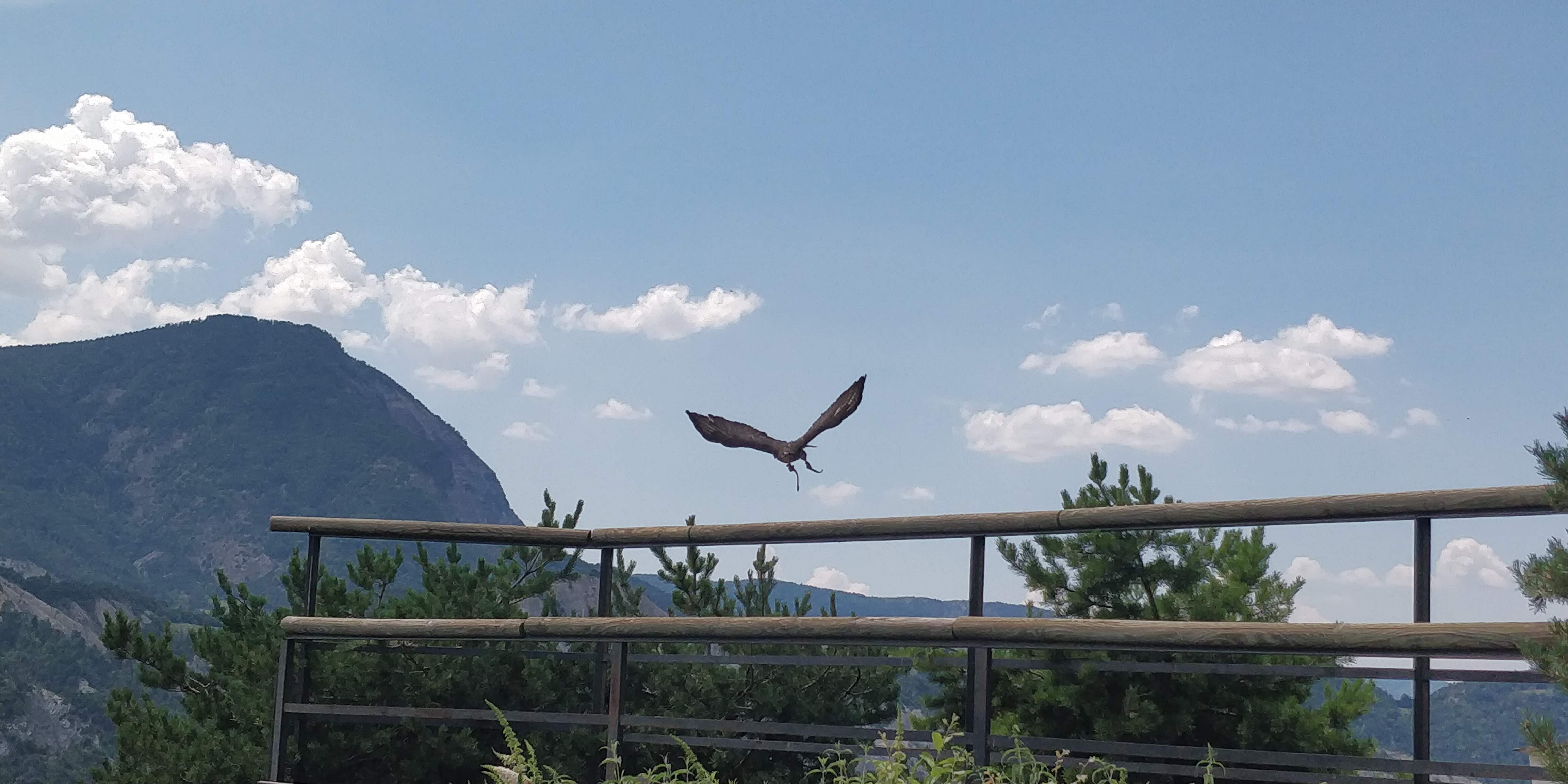Photo n° 33 de l'avis de Sylvain.e fait le 02/08/2018 à 06:25