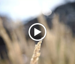 Lindener Hafen Location photo