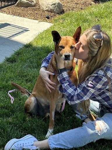 Nature's Way Pet Aquamation image