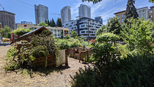 Cascade P-Patch Community Gardens