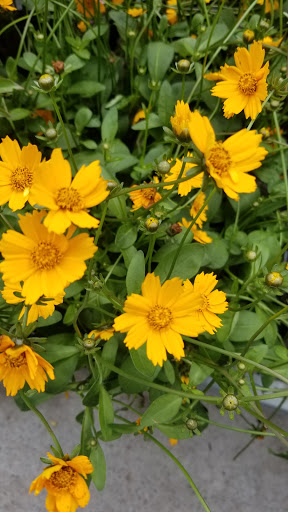 Home Improvement Store «The Home Depot», reviews and photos, 2160 NJ-70, Cherry Hill, NJ 08002, USA