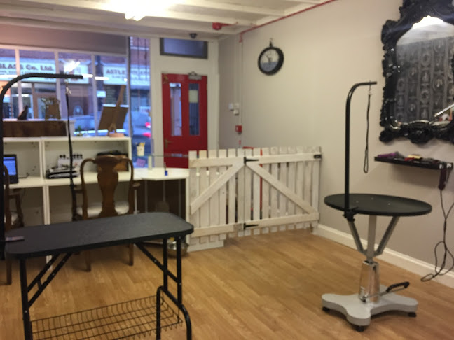 Reviews of Central Bark Dog Grooming Salon in Manchester - Dog trainer
