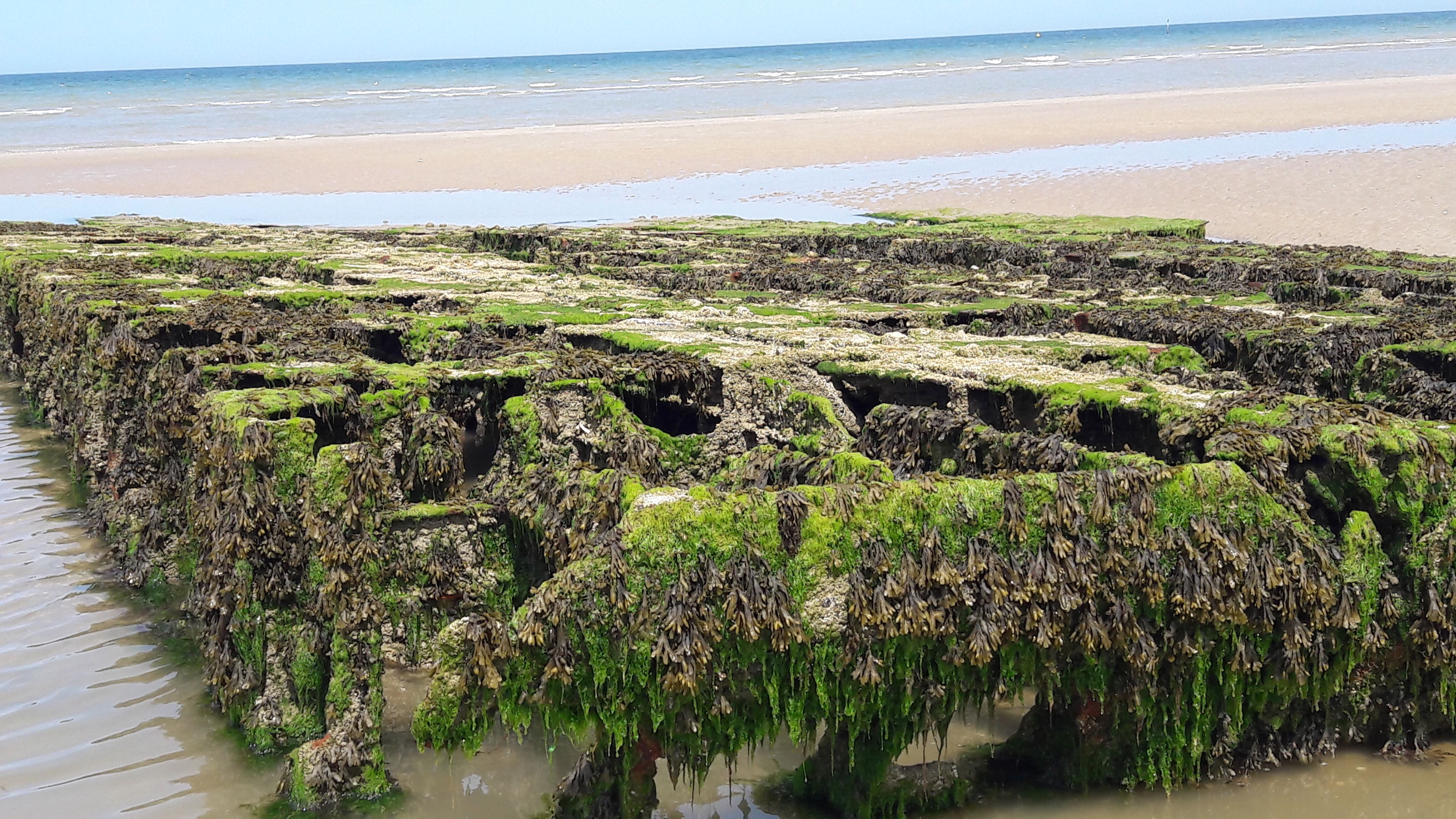 Photo n° 3 de l'avis de Rémy.u fait le 23/06/2020 à 19:54