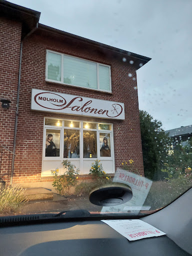 Mølholm Salonen in Vejle, Vejle