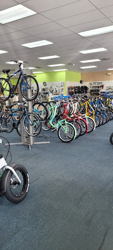 Bicycle Repair Shop «Bicycle World», reviews and photos, 928 Northlake Blvd, North Palm Beach, FL 33408, USA