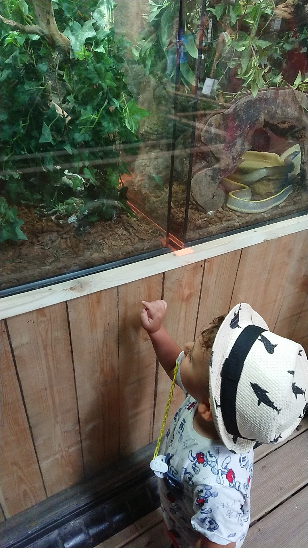 Photo n° 5 de l'avis de emelinetchems.e fait le 21/08/2018 à 06:53