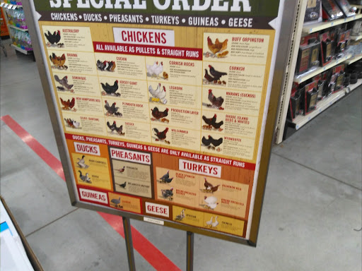 Home Improvement Store «Tractor Supply Co.», reviews and photos, 10801 Colonel Glenn Rd, Little Rock, AR 72204, USA