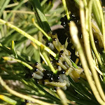 Photo n°3 de l'avis de Francisco.i fait le 04/04/2019 à 10:50 sur le  Hotel I Ciliegi à Ciliegi