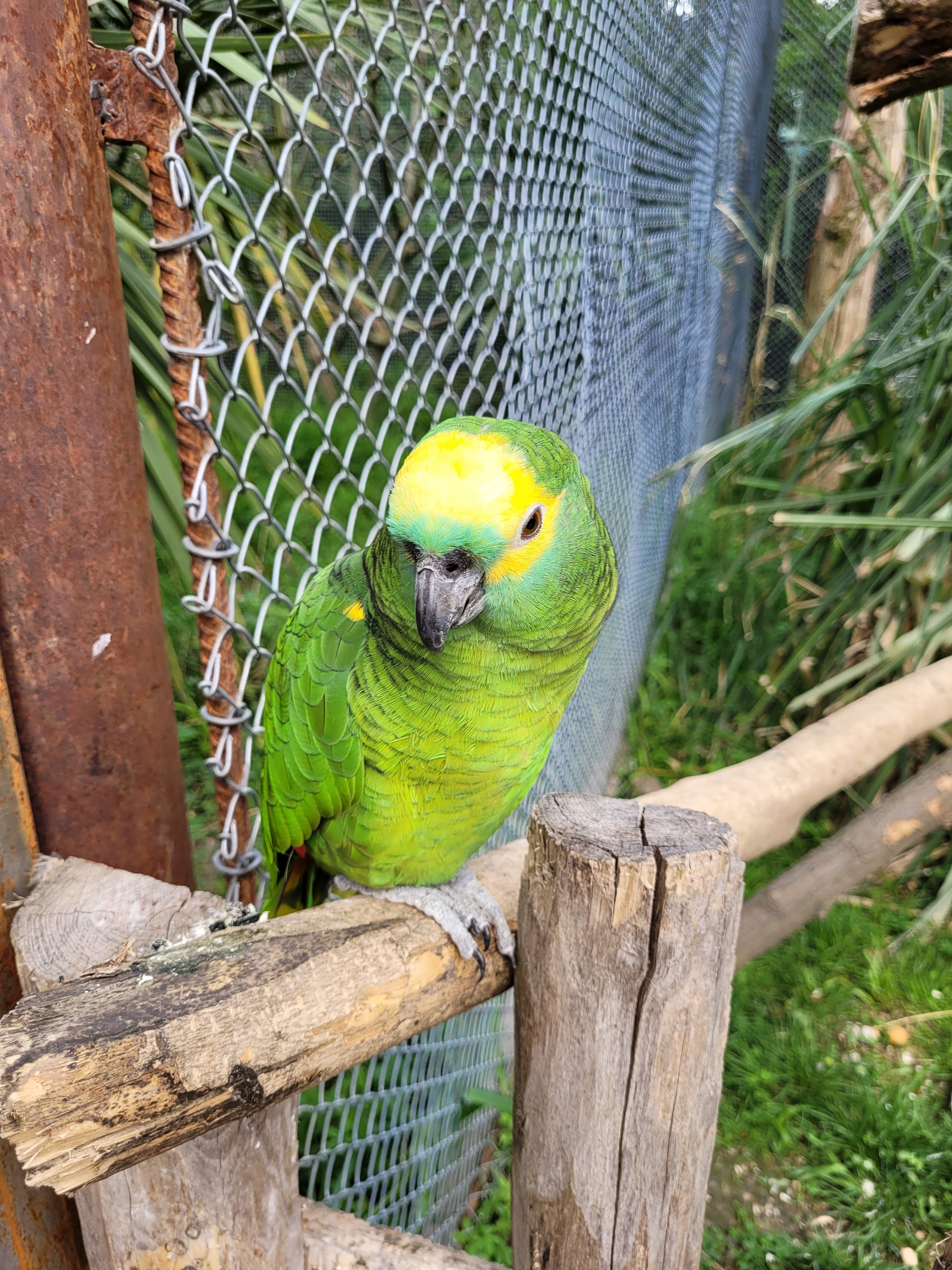 Photo n° 11 de l'avis de florian.a fait le 22/05/2022 à 17:27