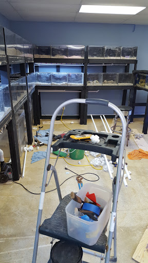 Tropical Fish Store «Saltwater Island», reviews and photos, 15214 Manchester Rd, Ballwin, MO 63011, USA