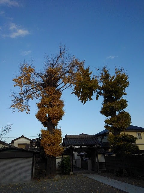 長田寺