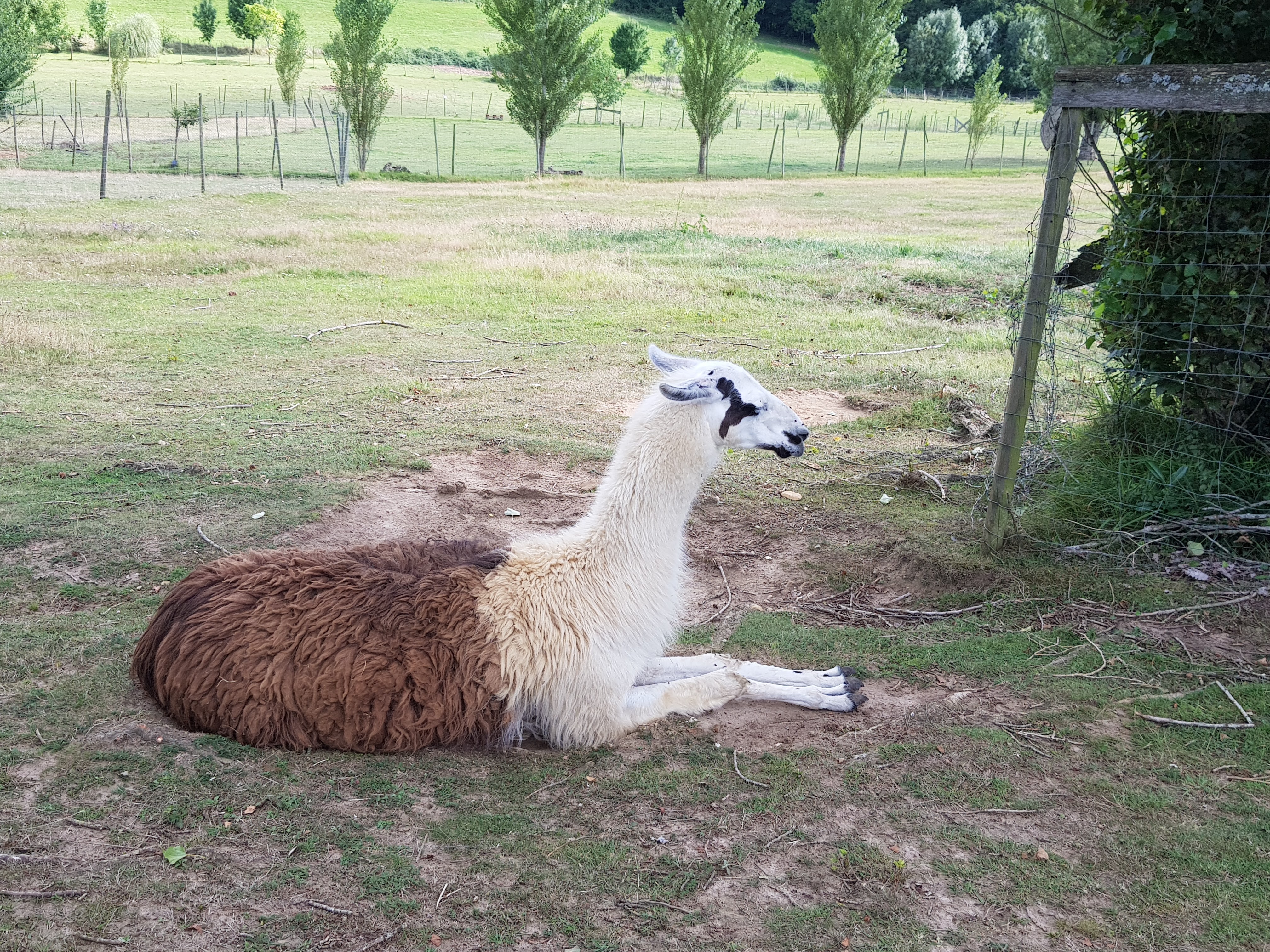 Photo n° 1 de l'avis de Gribs. fait le 13/08/2017 à 17:24