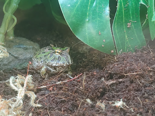 Pet Supply Store «Petco Animal Supplies», reviews and photos, 10383 Reisterstown Rd, Owings Mills, MD 21117, USA