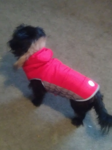 Clothing Store «Ross Dress for Less», reviews and photos, 1101 5th Ave, Hammond, IN 46320, USA