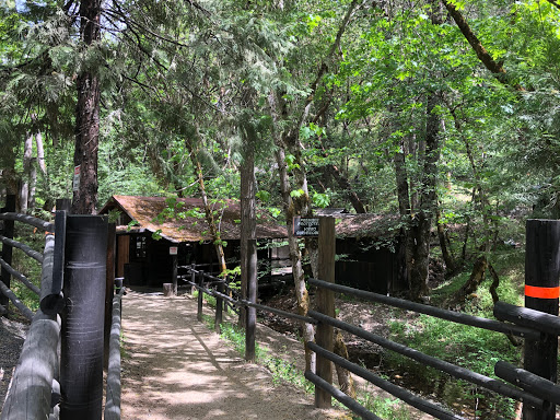 Tourist Attraction «Oregon Vortex», reviews and photos, 4303 Sardine Creek L Fork Rd, Gold Hill, OR 97525, USA