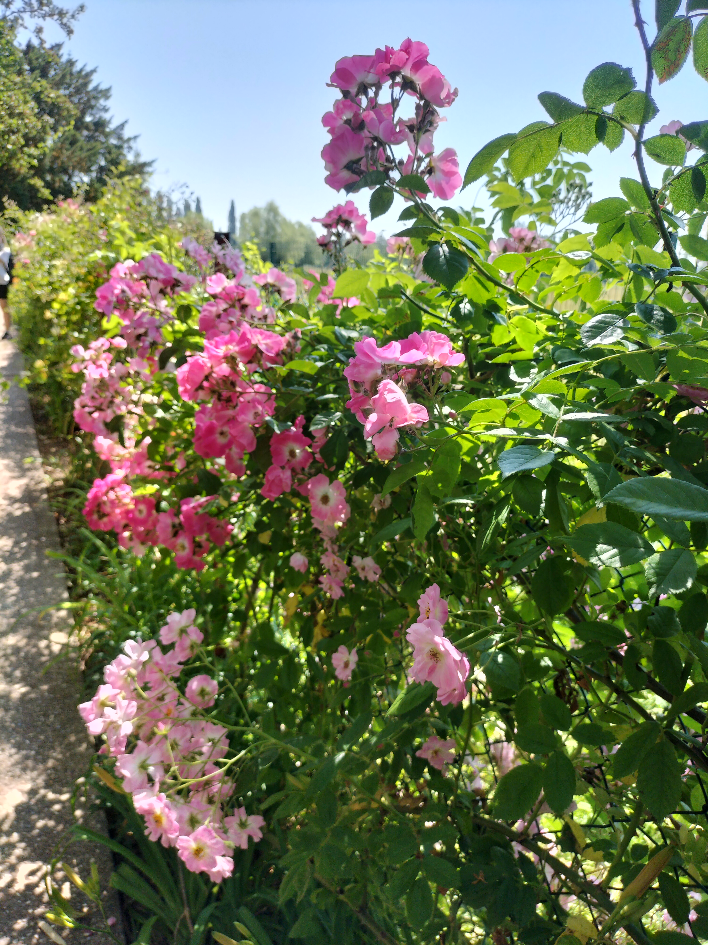 Photo n° 39 de l'avis de didier.e fait le 15/06/2023 à 13:38