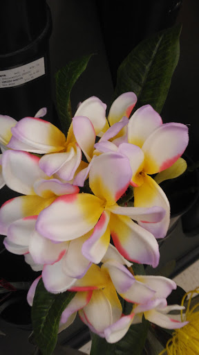 Craft Store «Hobby Lobby», reviews and photos, 3925 Dodge St, Dubuque, IA 52003, USA