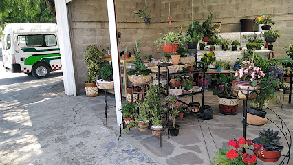 Tienda de plantas Gaia