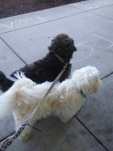 Pet Supply Store «Petco Animal Supplies», reviews and photos, 12641-310 Ocean Gateway, Ocean City, MD 21842, USA