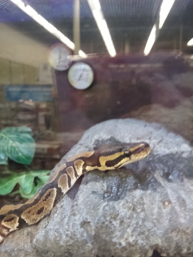 Pet Supply Store «Petco Animal Supplies», reviews and photos, 1704 US Hwy 27 S, Sebring, FL 33870, USA