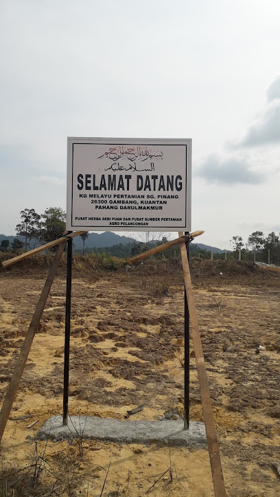 Kampung Baru Melayu Pertanian Sungai Pinang